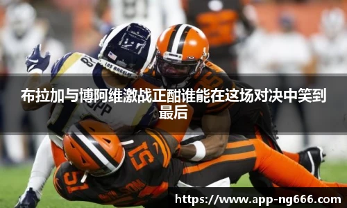 南宫NG28