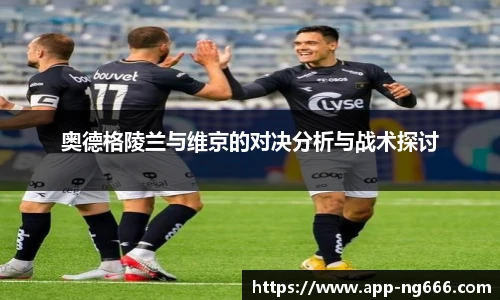 南宫NG28
